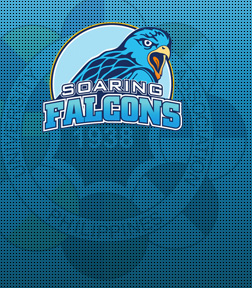 adu basketball school small logo